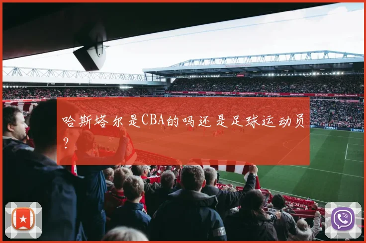 哈斯塔尔是CBA的吗还是足球运动员？